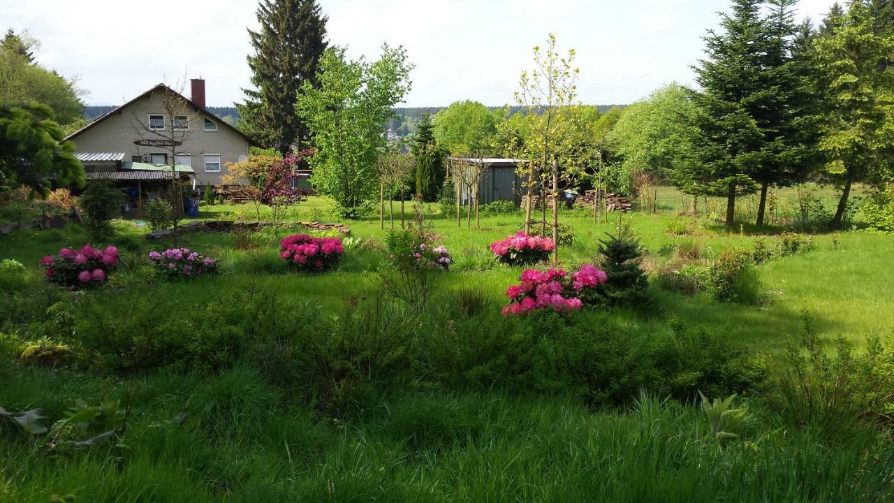 Moosberg Haus Mizzi * Holzminden